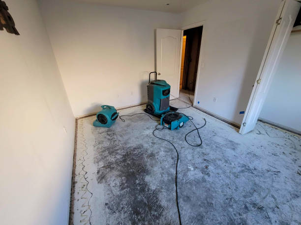 Best Fire Damage Restoration  in , NH